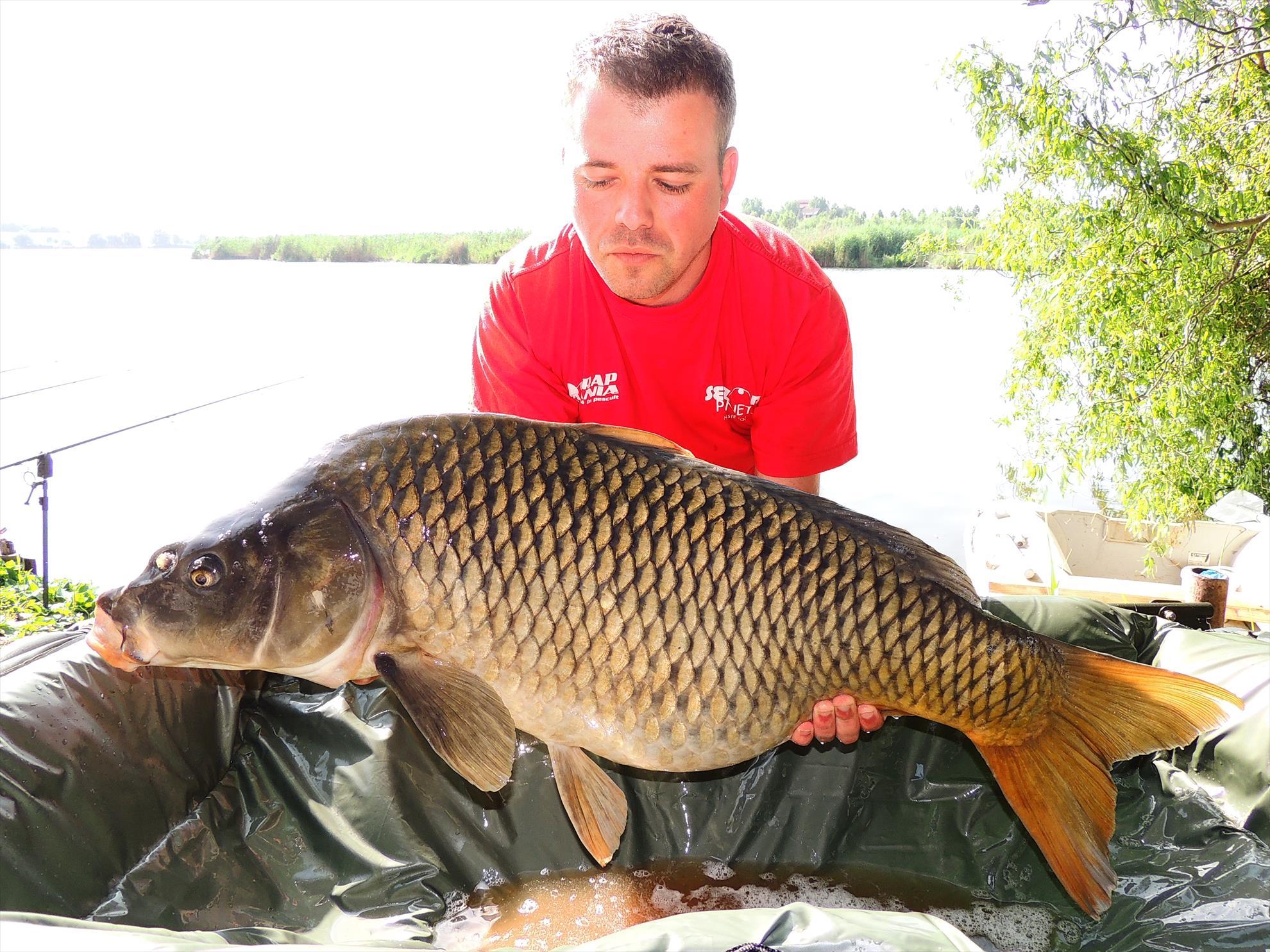 Tancabesti 14 - 16 iunie 2015 - dscn6732.JPG